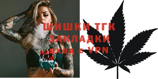 твердый Арсеньев