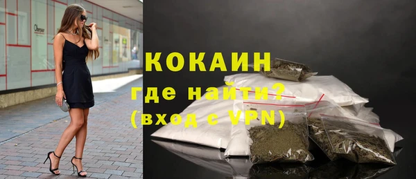 твердый Арсеньев