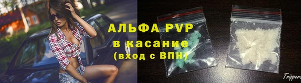 твердый Арсеньев