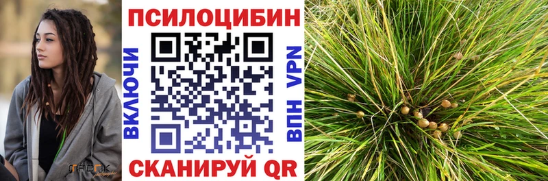 Псилоцибиновые грибы Magic Shrooms  Болохово 